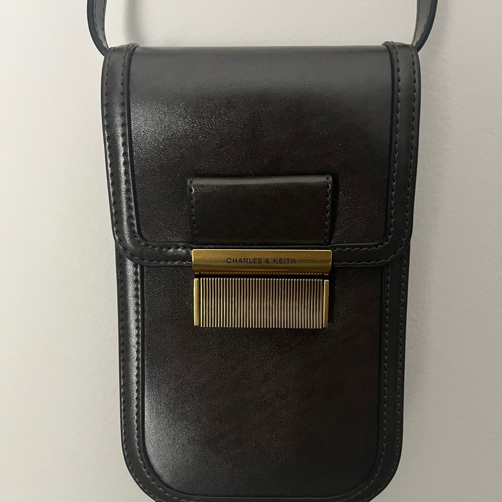 Charles & Keith Dark Brown Belt Bag with Gold Accent
